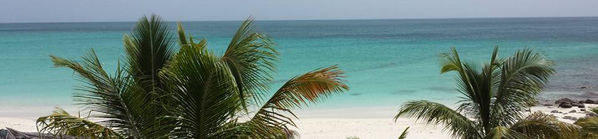 Chaotically Controlled